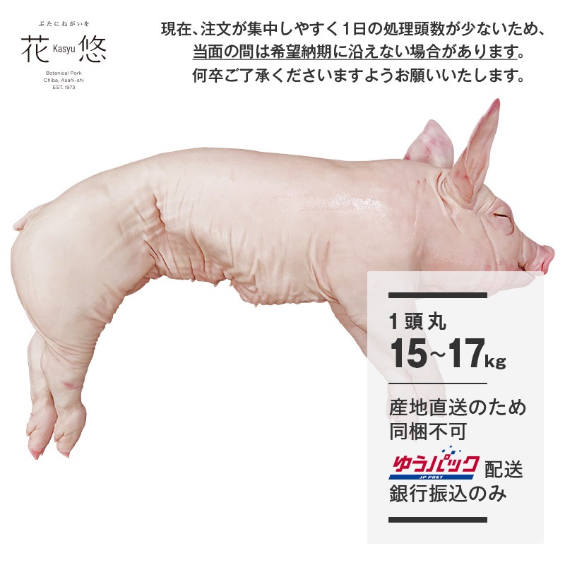 千葉県産 花悠仔豚(メス限定) 1頭丸 15~17kg【納期:1ヶ月以上後発送予定】※屠場で使用しているボイラー用の燃料手配が困難となっており、納期を頂戴しております。納期がお伝え出来るようになりましたら、ご発注後にご連絡いたします。※現在は銀行振込でのご注文のみ受け付けております。