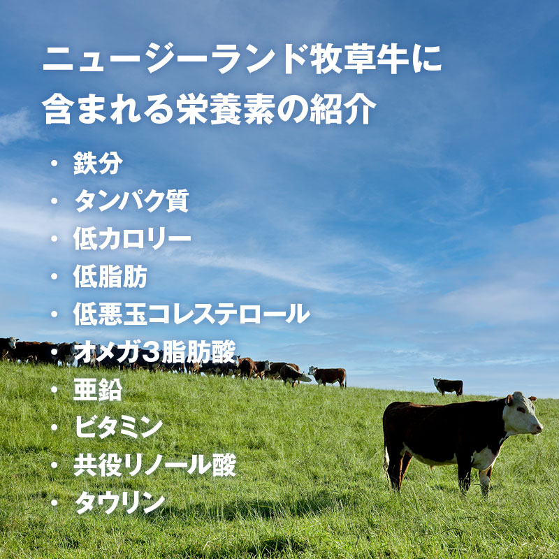 【量り売り】シルバーファーンファームス社 ニュージーランド牧草牛 チルド 牛サーロイン正肉(ストリップロイン) プレミアムステアグレード【1本:約3.0~7.0kg】