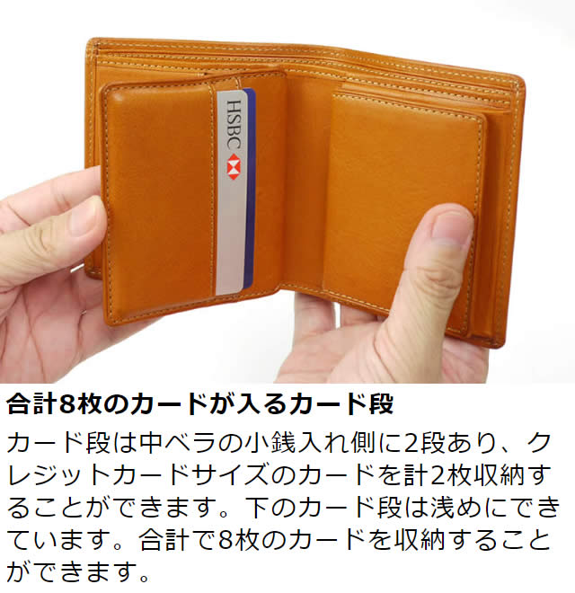 ׿ entireIIʥ󥿥ġޤ