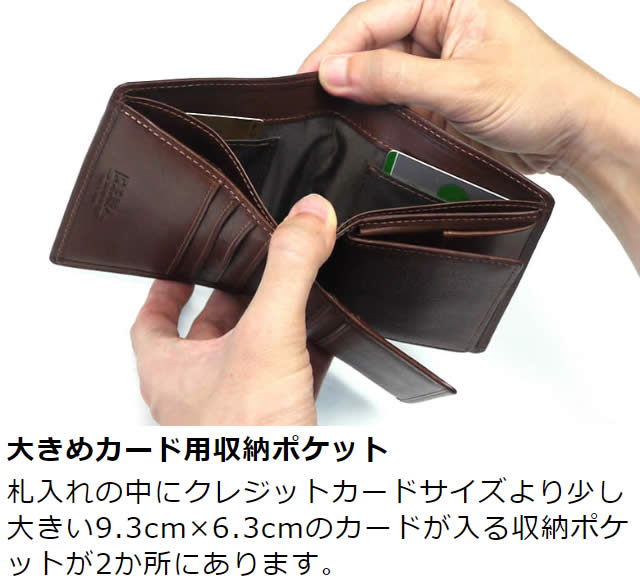 ׿ entireIIʥ󥿥ġޤ