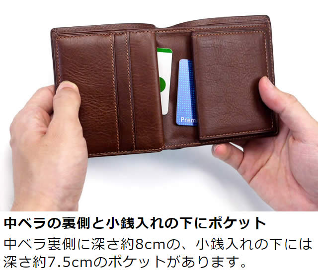 ׿ entireIIʥ󥿥ġޤ