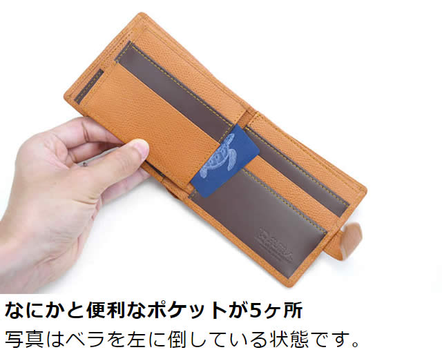 �׿��� Beam�ʥӡ�������դ�����ޤ����