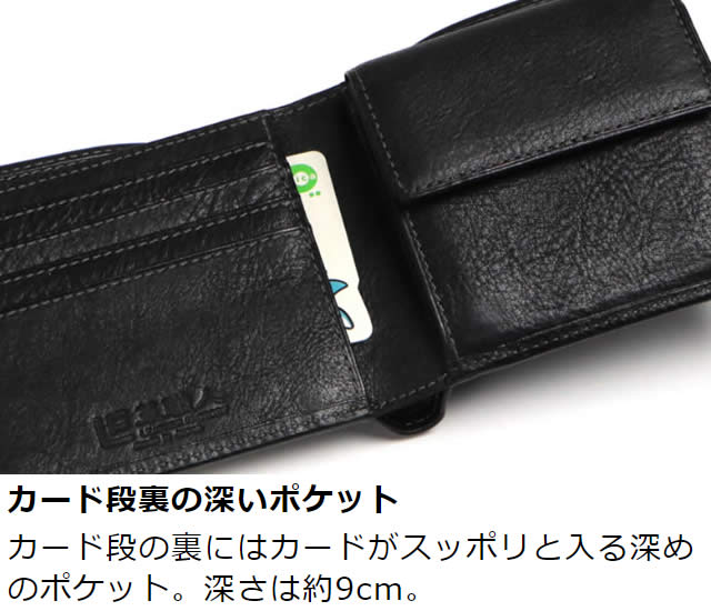 ׿ Duallineʥǥ奢饤˥ޥդޤ