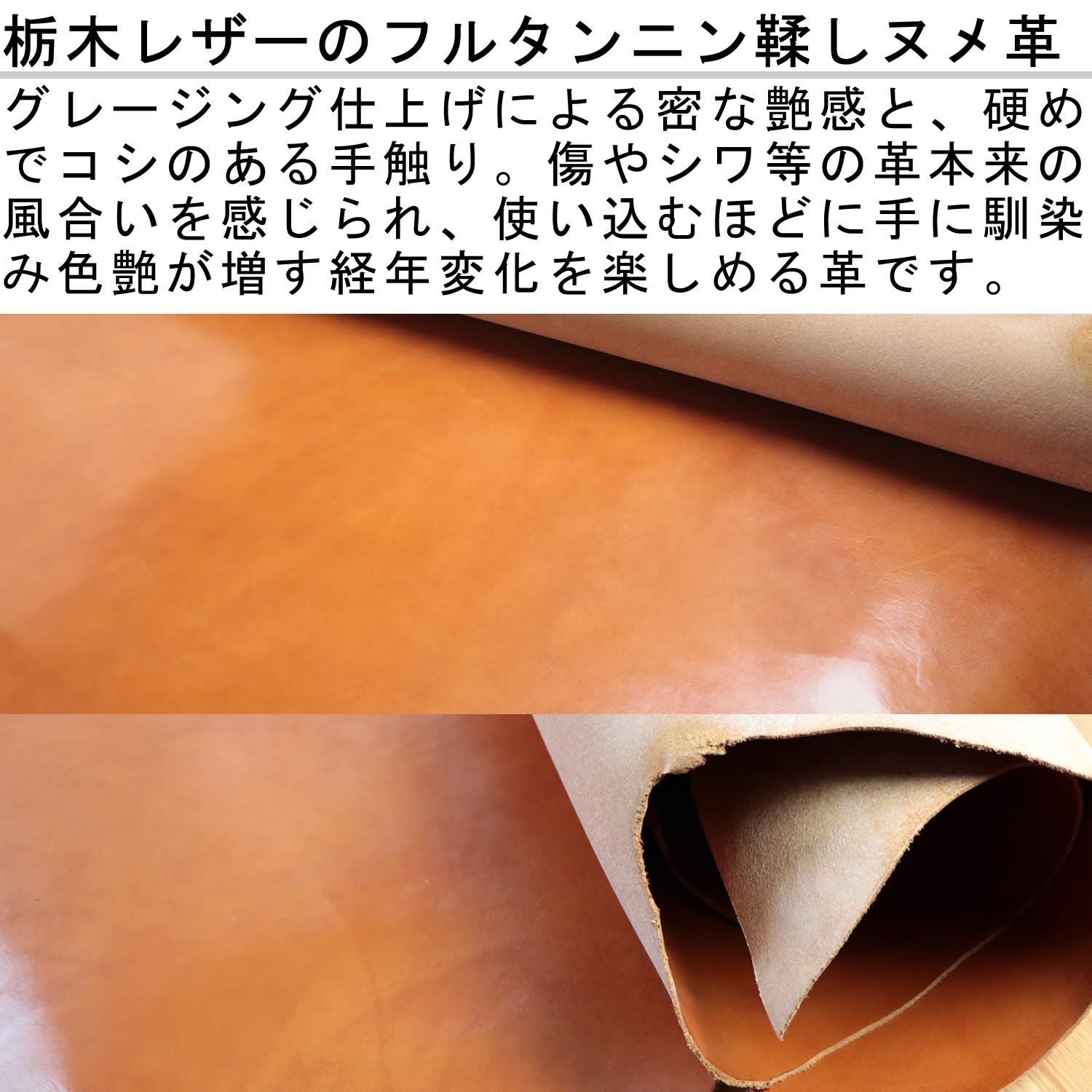 �׿��� Various�ʥХꥢ���˥̥�׷ڤ����ӷ��٤�