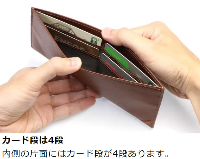 ׿ Duallineʥǥ奢饤˥եޥʤĹ