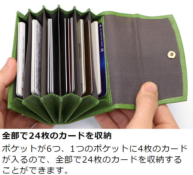 �׿��� Adria�ʥ��ɥꥢ�������̼�ʢ�����ɥ�����