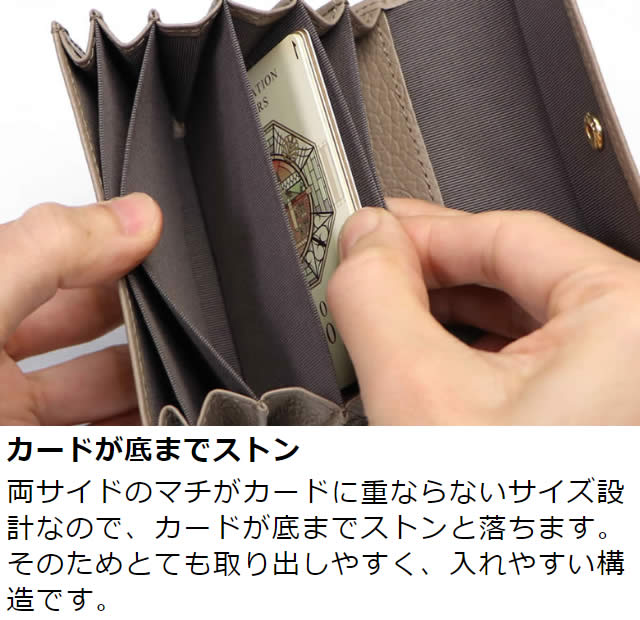 �׿��� Adria�ʥ��ɥꥢ�������̼�ʢ�����ɥ�����