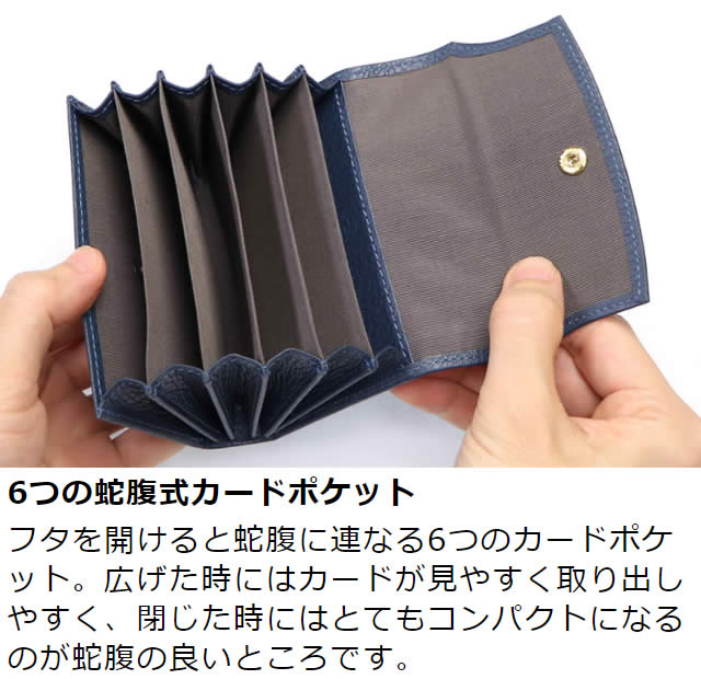 �׿��� Adria�ʥ��ɥꥢ�������̼�ʢ�����ɥ�����