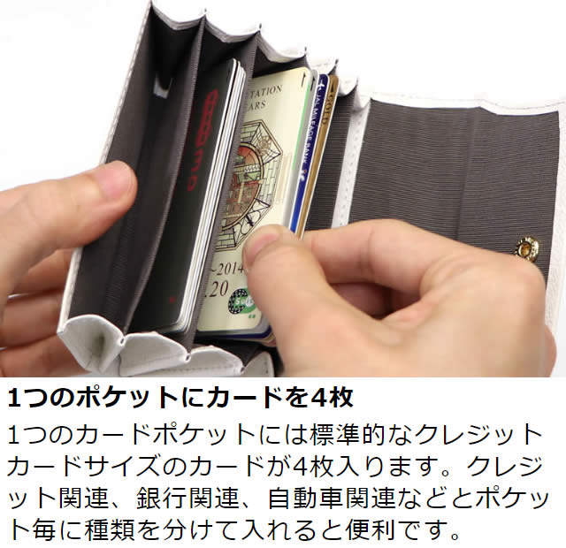 �׿��� Adria�ʥ��ɥꥢ�������̼�ʢ�����ɥ�����