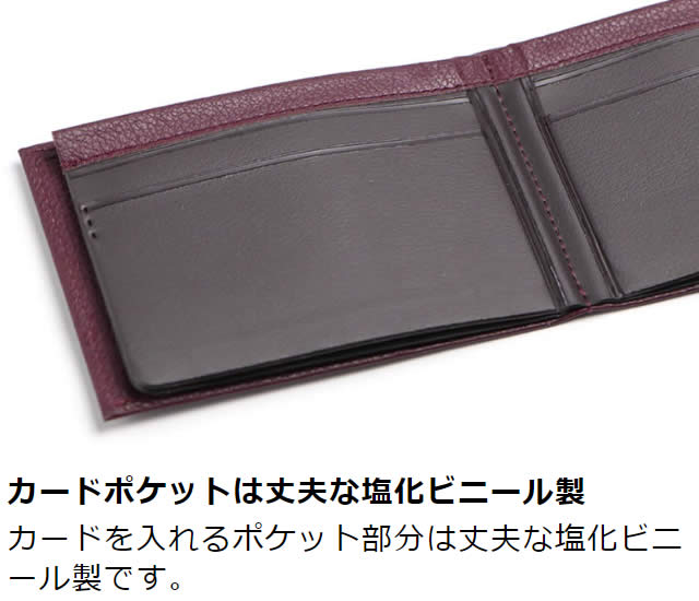 Various�ʥХꥢ����16�祫���ɥ�����