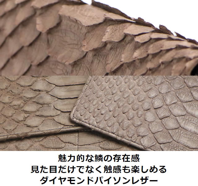 VariousʥХꥢ˥ɥѥĹ