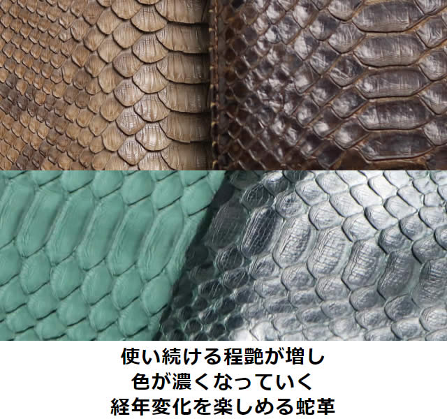 VariousʥХꥢ˥ɥѥĹ