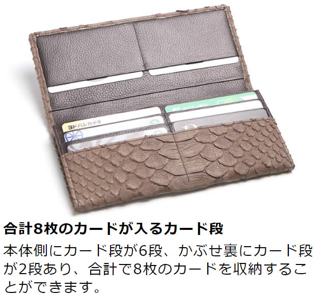 VariousʥХꥢ˥ɥѥĹ