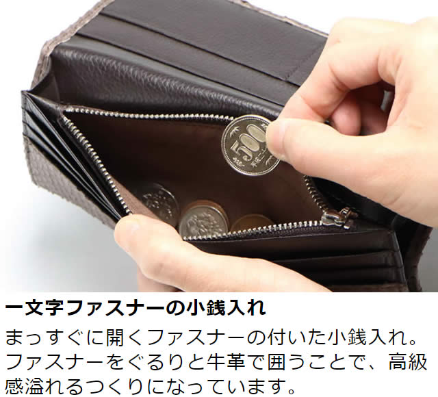 VariousʥХꥢ˥ɥѥĹ