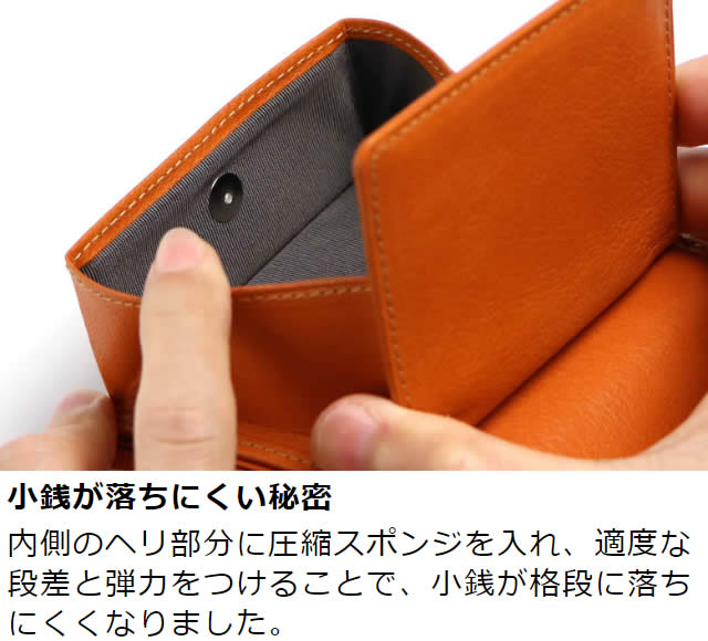 �׿��� Dualline�ʥǥ奢��饤��˥ܥå������������դ�����ޤ����