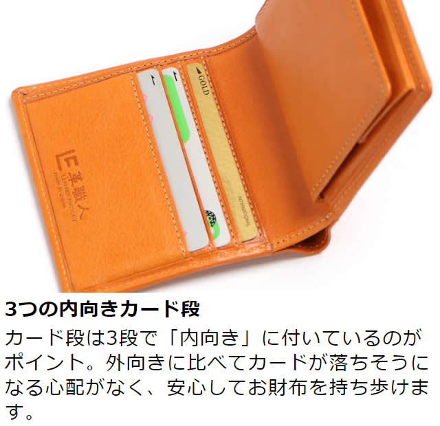 �׿��� Dualline�ʥǥ奢��饤��˥ܥå������������դ�����ޤ����