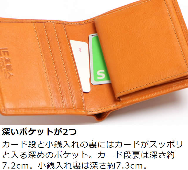 �׿��� Dualline�ʥǥ奢��饤��˥ܥå������������դ�����ޤ����