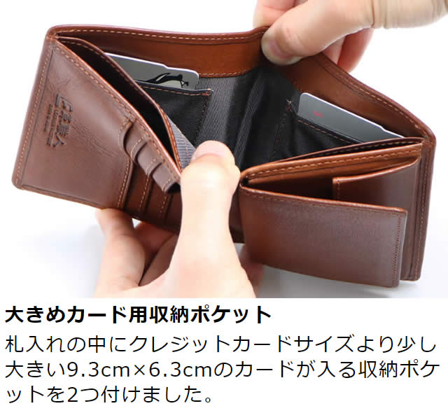 �׿��� Dualline�ʥǥ奢��饤��˥ܥå������������դ�����ޤ����