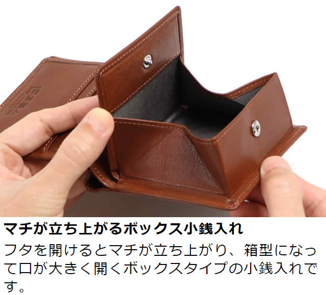 �׿��� Dualline�ʥǥ奢��饤��˥ܥå������������դ�����ޤ����