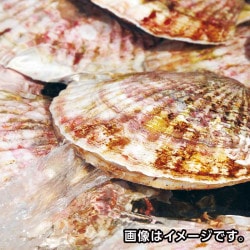 ҥޥŹӱˤۥƣ祻åȡ祵