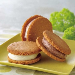 Ұ⸶Ӱ⸶å 12ĥå C12