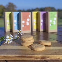 Ұ⸶ӼŤꥯå6糧å