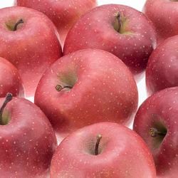 2025岩手の達人りんご