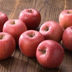 2025岩手の達人りんご