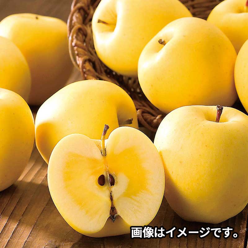 �ڣơݣ��ۡ�JA�����������������������