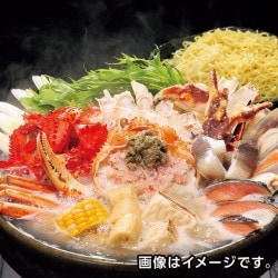 ���ڥ������Τ������ƽ����祬��Ŵˤ���2��3������ 