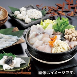 �դ���ե륳���� 