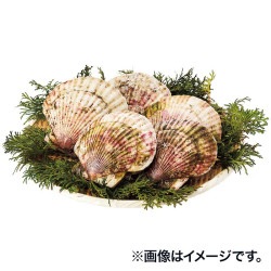 �����ݣ������ޥ�������Ź��ˤ��ۥ��ơ��祵����5������ 