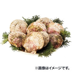 �����ݣ������ޥ�������Ź��ˤ��ۥ��ơ��祵����8������ 