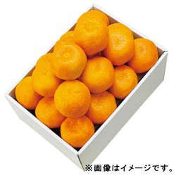 �����ݣ�����彣���亴�츩�� ����ߤ��� 