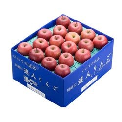 ��E-1�ϡҴ���ã�ͤ�󤴡ӹ��ɤ�󤴥���դ�10kg