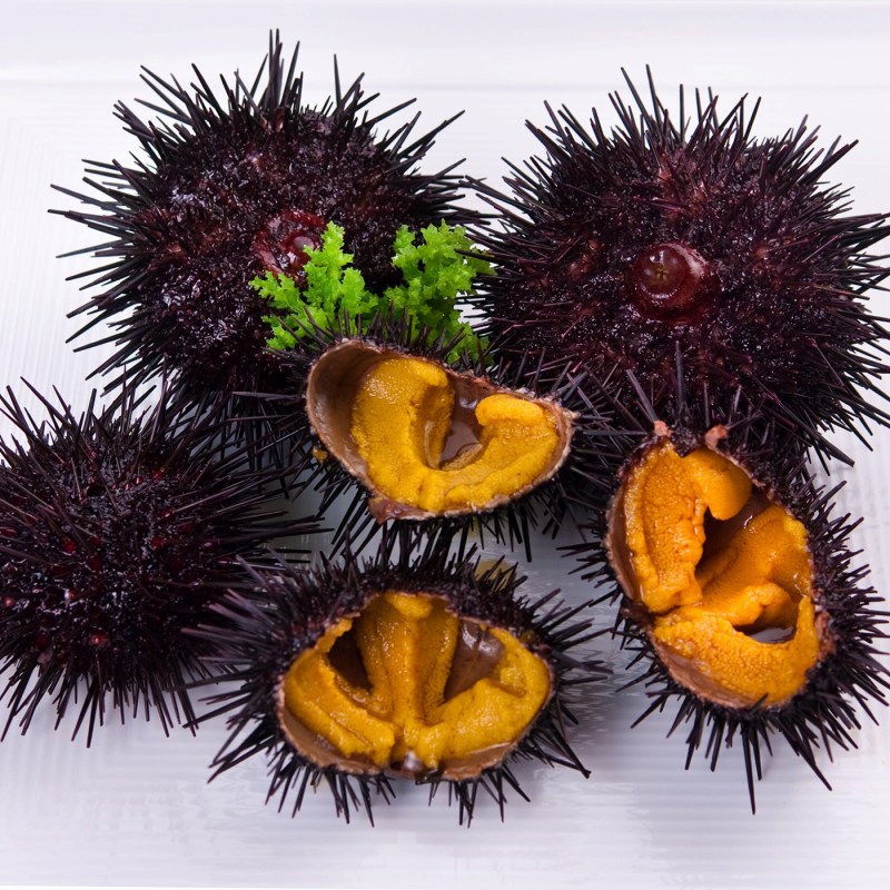 �ҳ�����¼�ȡӥ���ȥ����ꥸ�ʥ벫����Ȣ