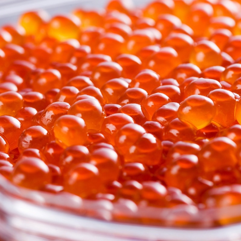 �ҳ�����¼�ȡӥ���ȥ����ꥸ�ʥ벫����Ȣ