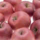 ��E-2�ϡҴ���ã�ͤ�󤴡ӹ��ɤ�󤴥���դ�10kg����̡�