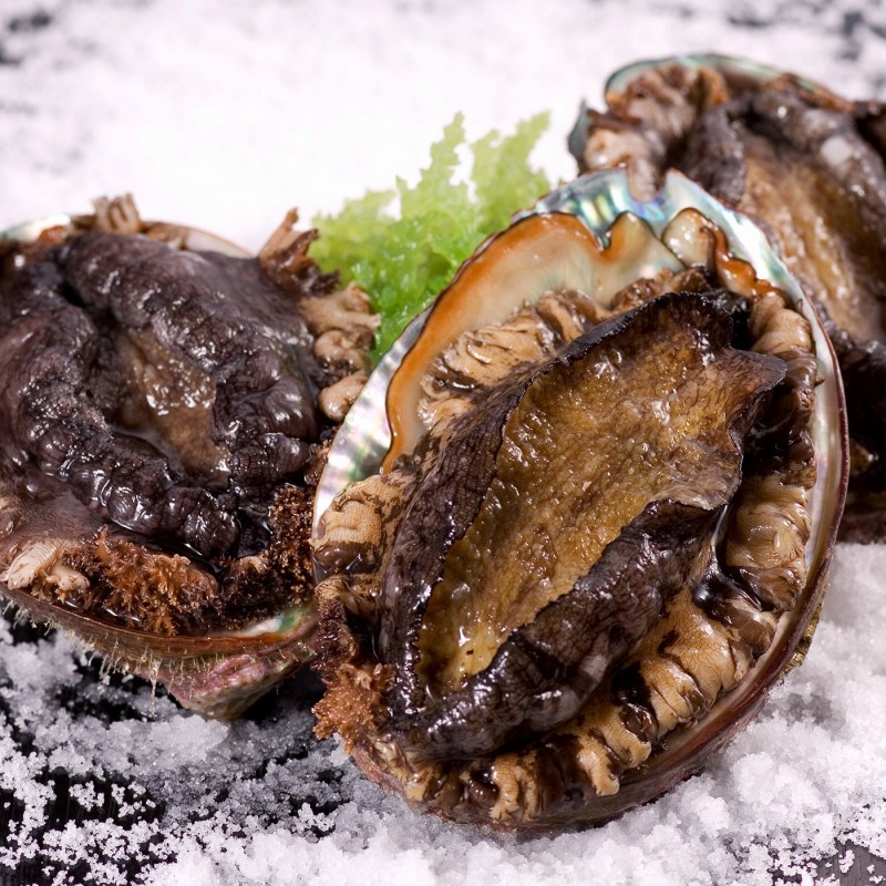 �ҳ�����¼�ȡӻ�Φ�����ҡʣ��������