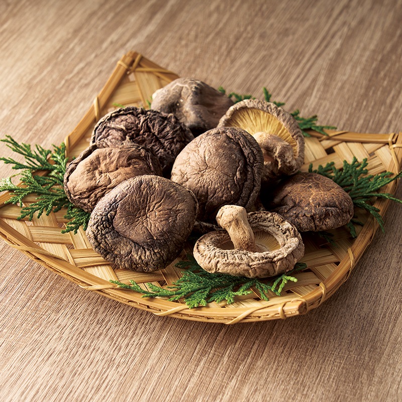 �ҥ٥��ȥ��쥯�����ӥ�����