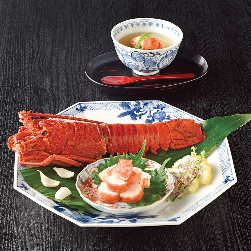 �ҥ٥��ȥ��쥯�����ӥ٥륬��å�