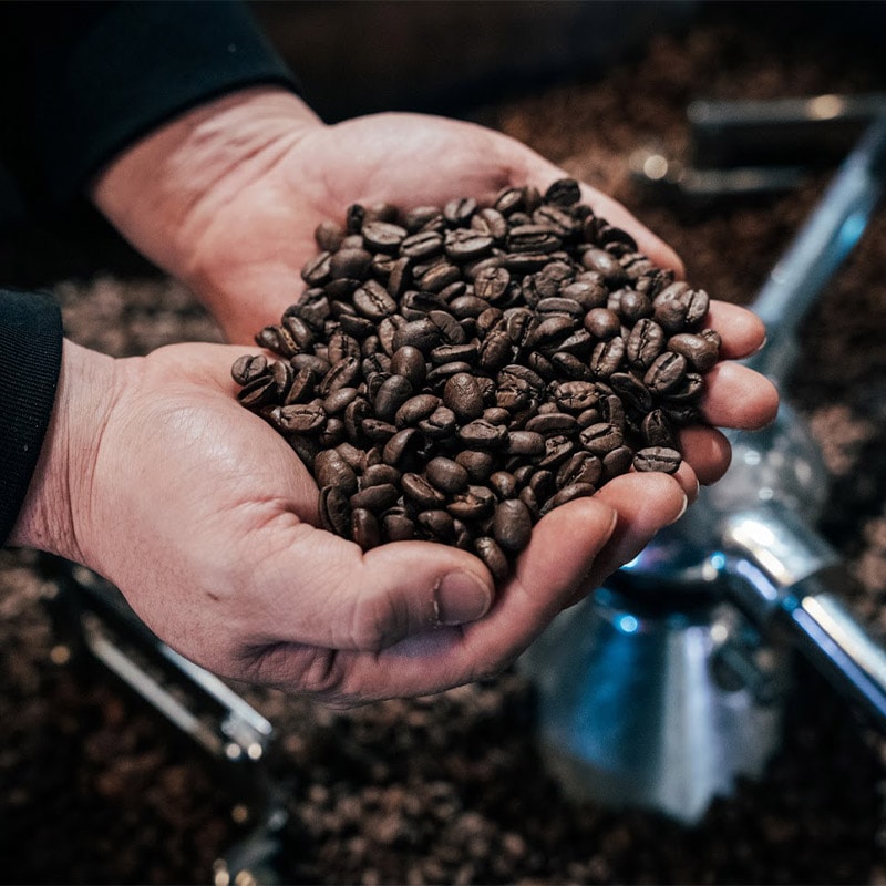 ������DRIPPERS�ӥɥ�åץѥå� ���֥���