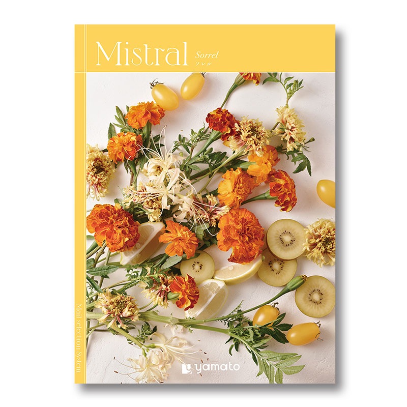 �ҥߥ��ȥ��ӥ����