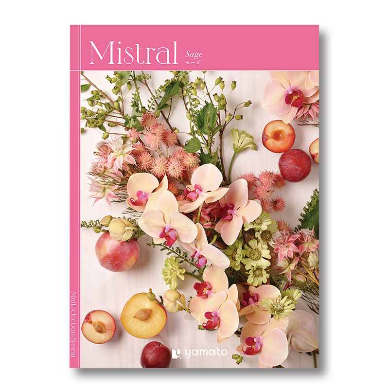 �ҥߥ��ȥ��ӥ�����