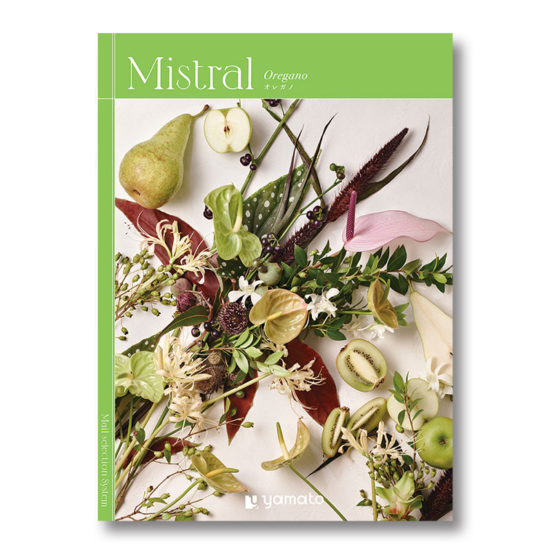 �ҥߥ��ȥ��ӥ��쥬��