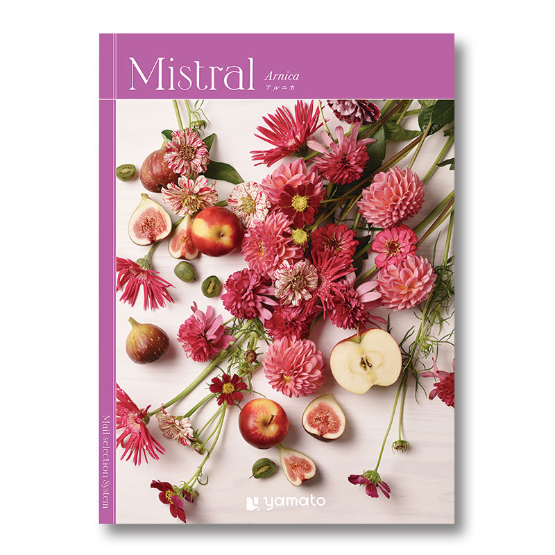 �ҥߥ��ȥ��ӥ���˥�