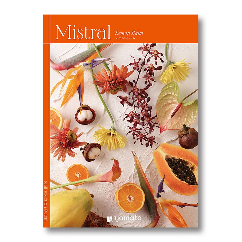 �ҥߥ��ȥ��ӥ���С���