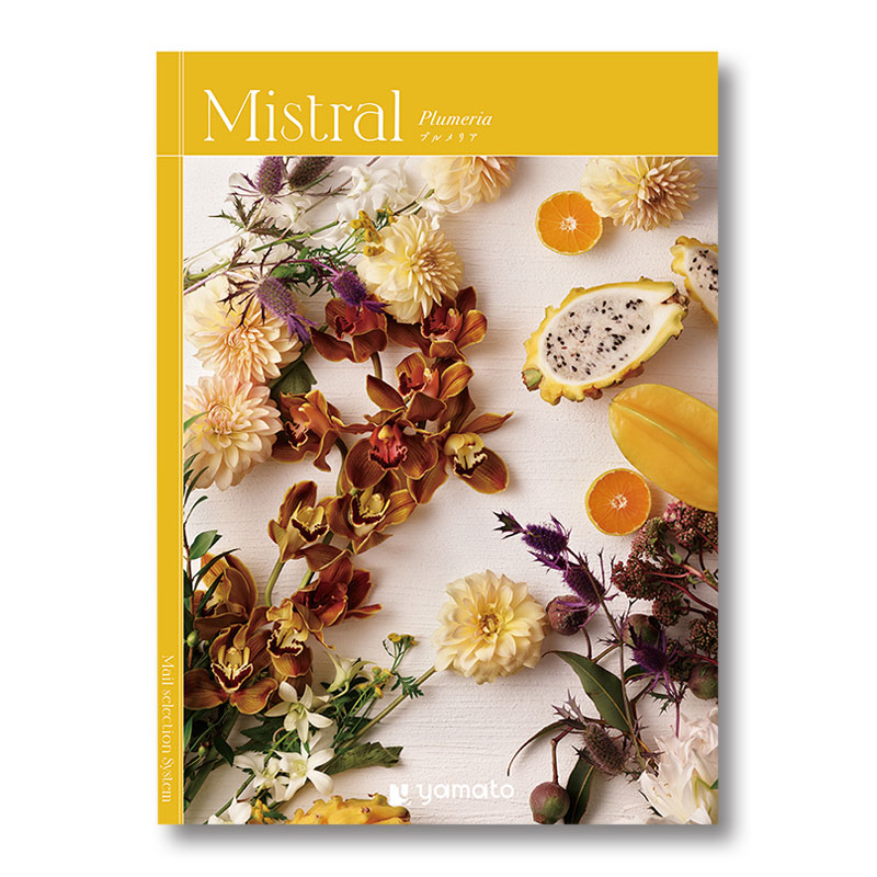 �ҥߥ��ȥ��ӥץ��ꥢ