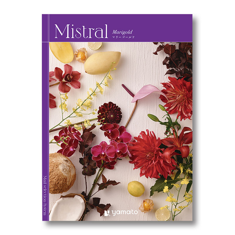 �ҥߥ��ȥ��ӥޥ꡼�������