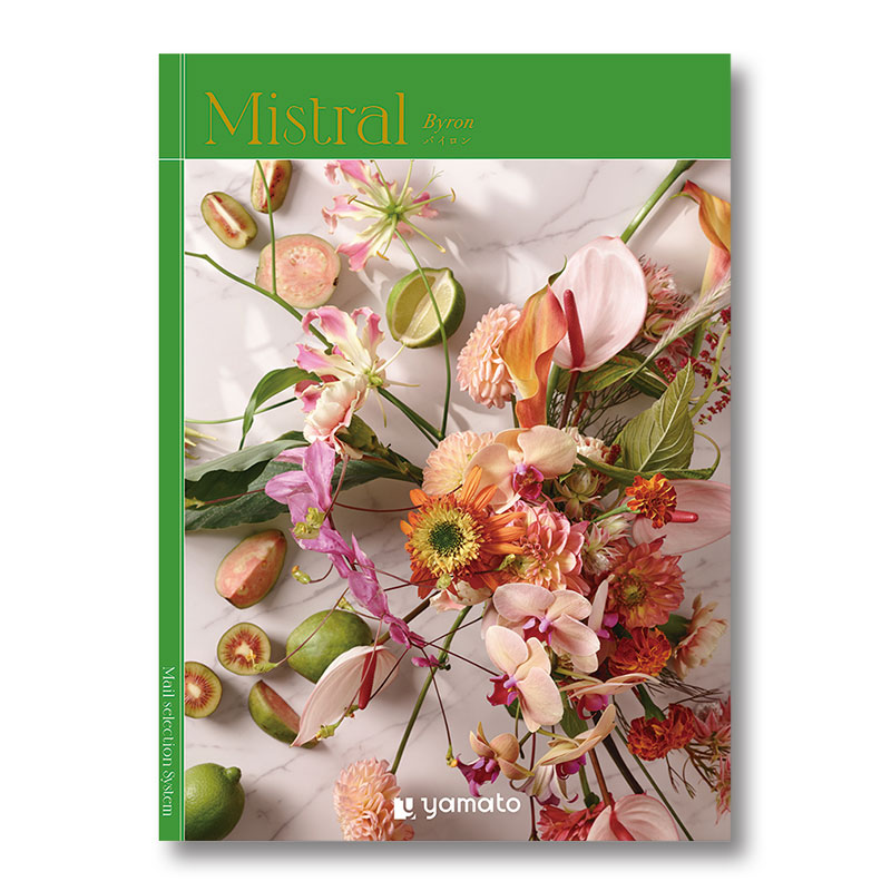 �ҥߥ��ȥ��ӥХ�����